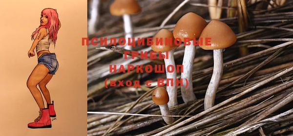 амфетамин Алексин
