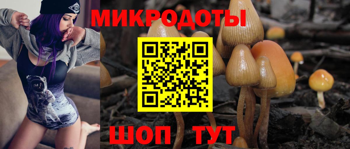 Лысьва  Псилоцибиновые грибы Cubensis  Вход с VPN  Галлюциногенные грибы GOLDEN TEACHER 